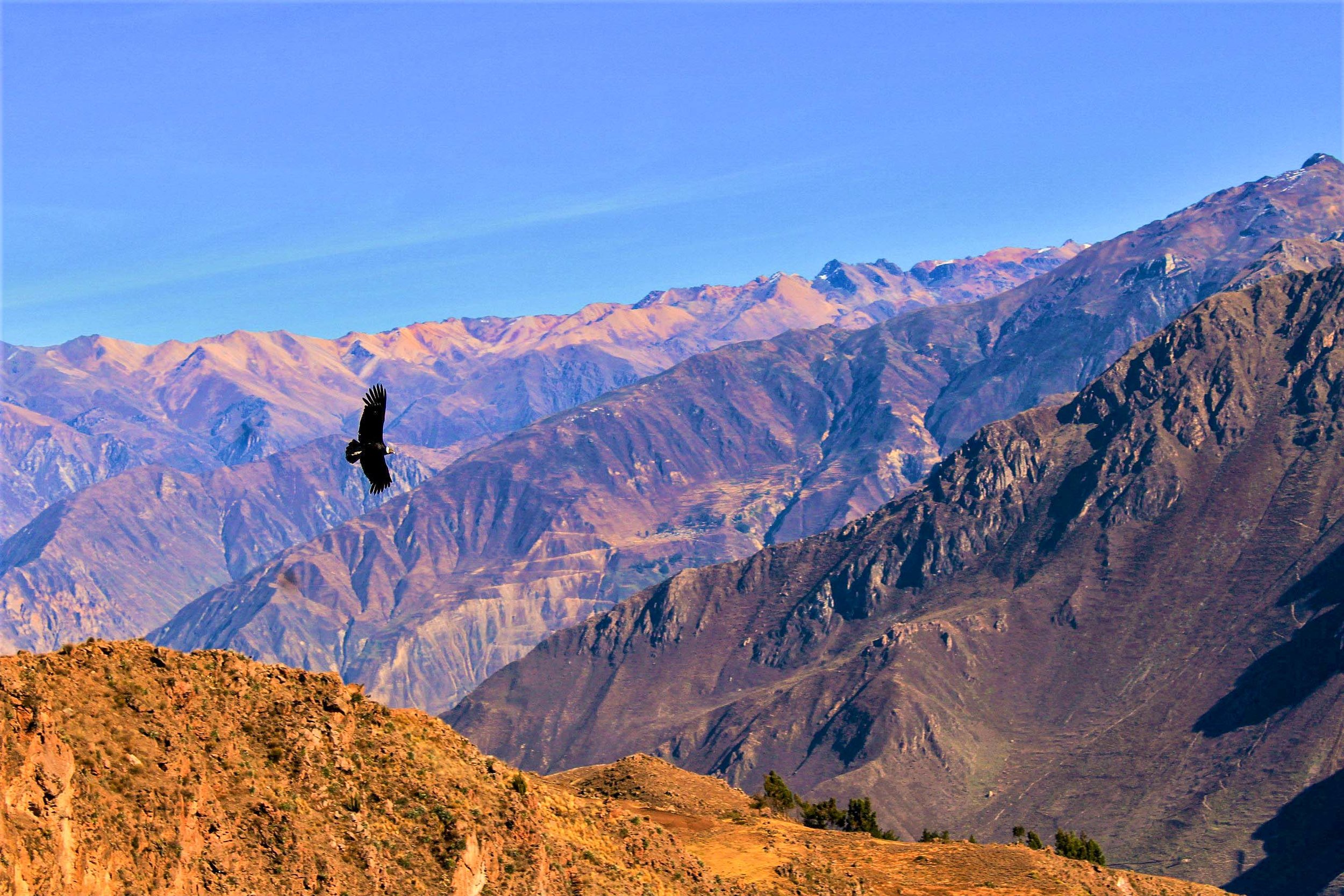 Foto Xima Colca Trek Lodge 5