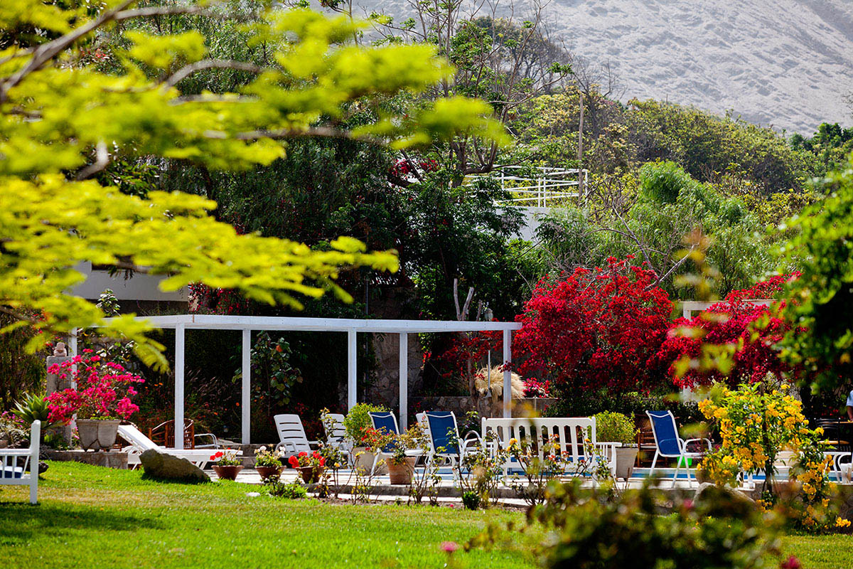 Jardines y La Casita1